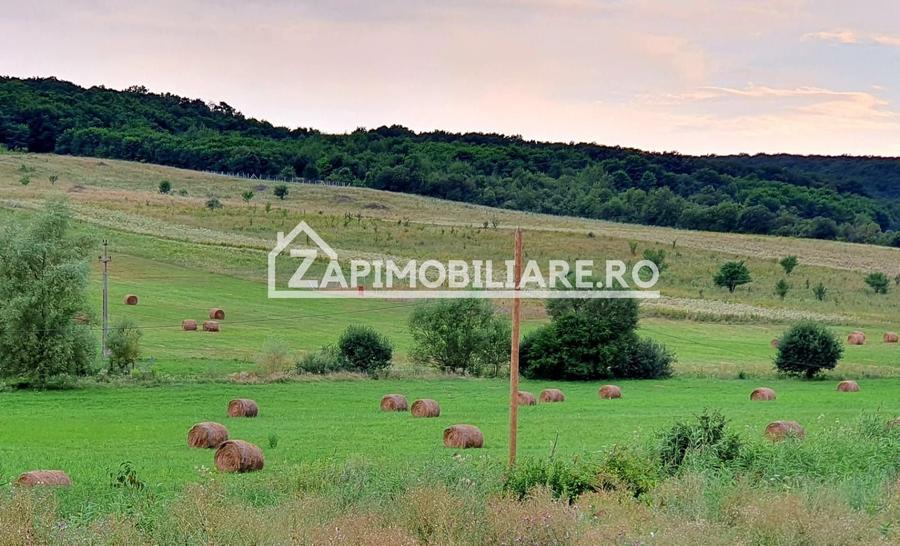 Teren intravilan 50 ari,Livezeni,iesire catre Ivanesti,28 eu/mp - 1