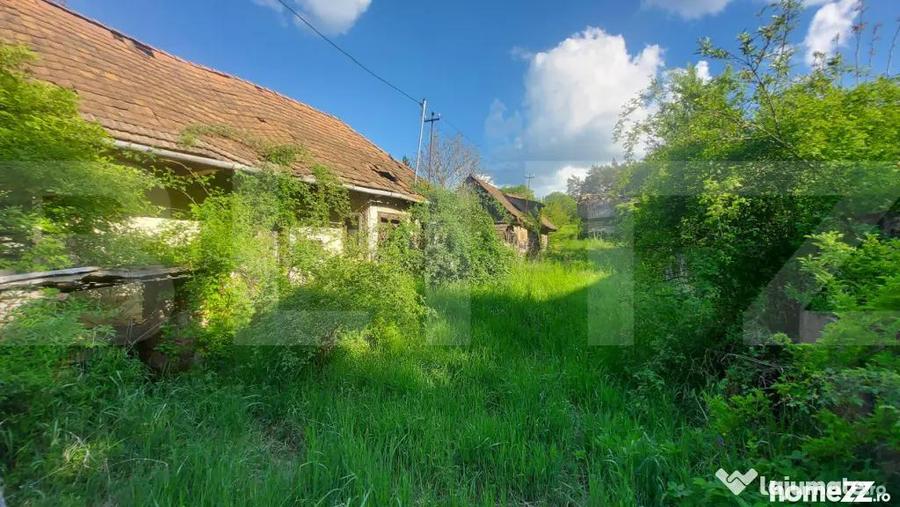 Teren intravilan 4905 mp I Livada I Casa demolabila I Magher - 1
