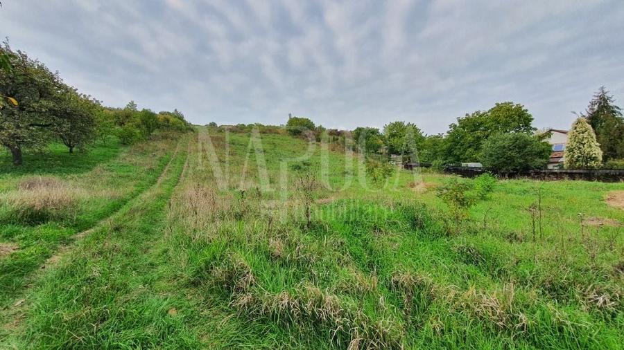 Teren intravilan constructii de vanzare in Dealuri Oradea, Oradea - 1