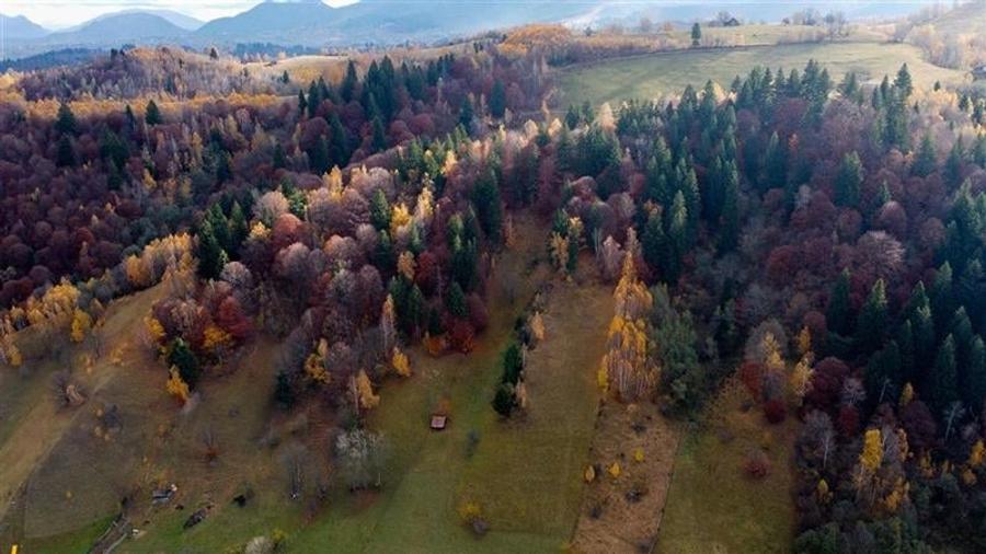 FILM! Constructie rustica tip Casa Verde, cu parau si panorama impresionanta, Mo - 9