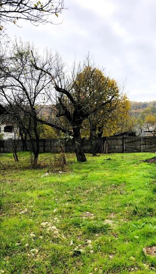 Teren intravilan, 1570 mp in sat Magura (Hulubesti), Dambovita, deschidere 31ml - 5