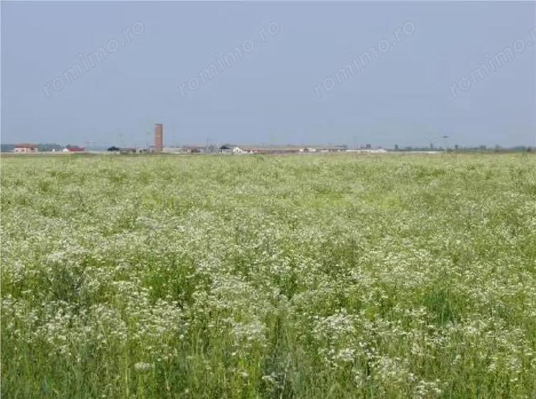 Teren 70 000 mp pretabil FOTOVOLTAIC de vanzare in Titu, jud Dambovita, negociabil - 1