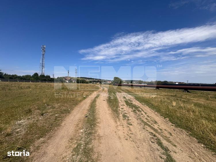 Teren Itcani | 31 Ari | Extravilan | Deschidere 11.5 MP | 93000 Euro - 1