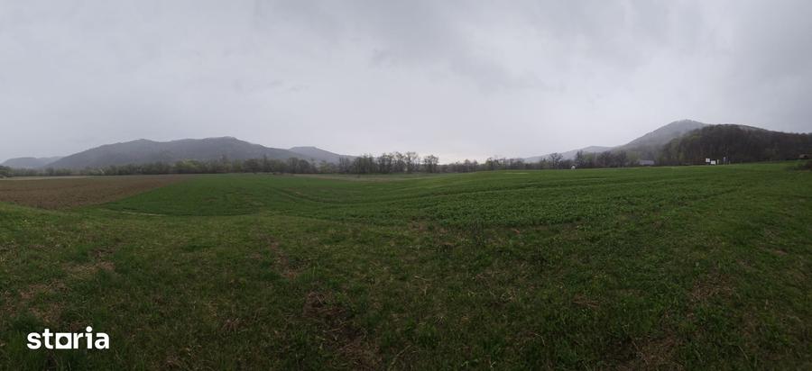 Teren de 4300 mp, în Gâlgău