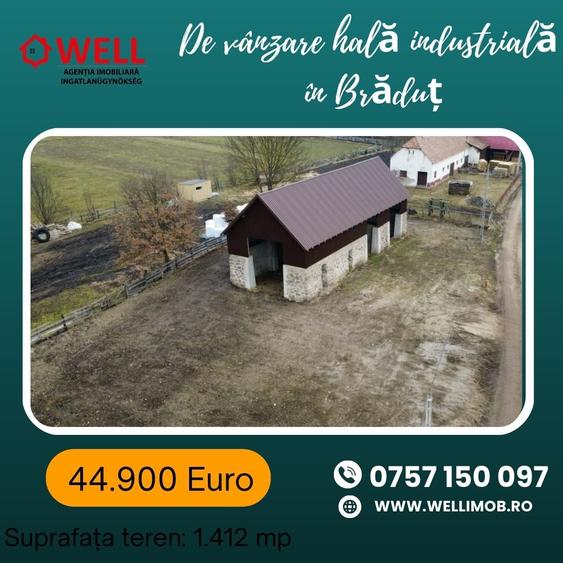 Spațiu industrial, de 163 mp, în Brăduț