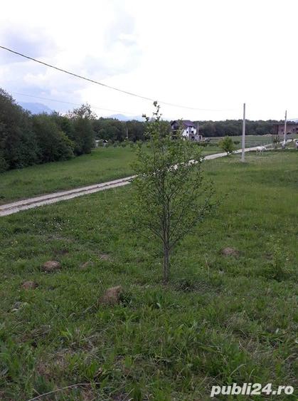 Teren de 10500 mp, în Central