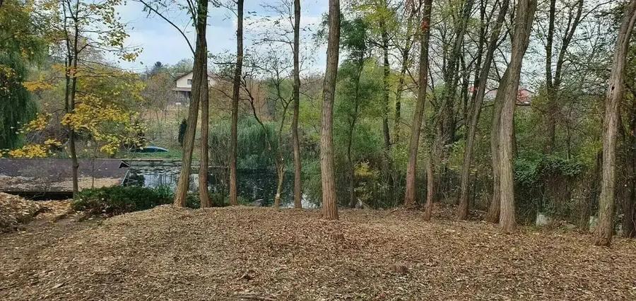 Vilă pe malul lacului, 6 camere, Snagov - 11