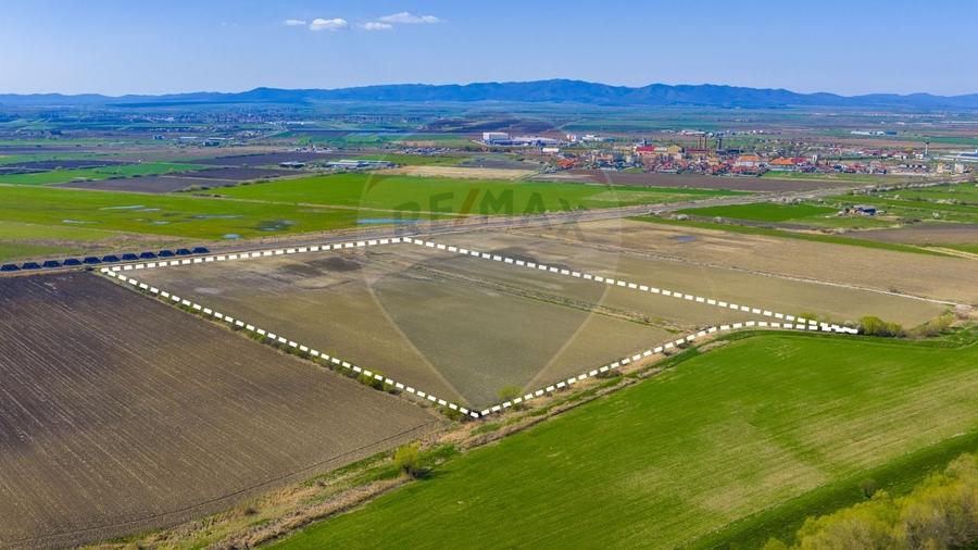 Teren agricol extravilan de 92000 mp, în Bod