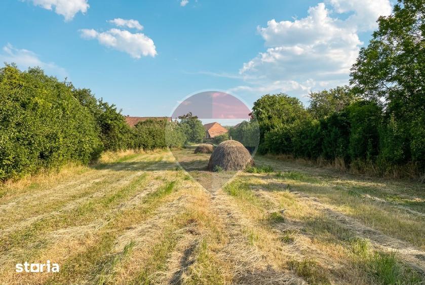 Casă cu 2 camere cu Teren 3618 Mp în Moldovenești