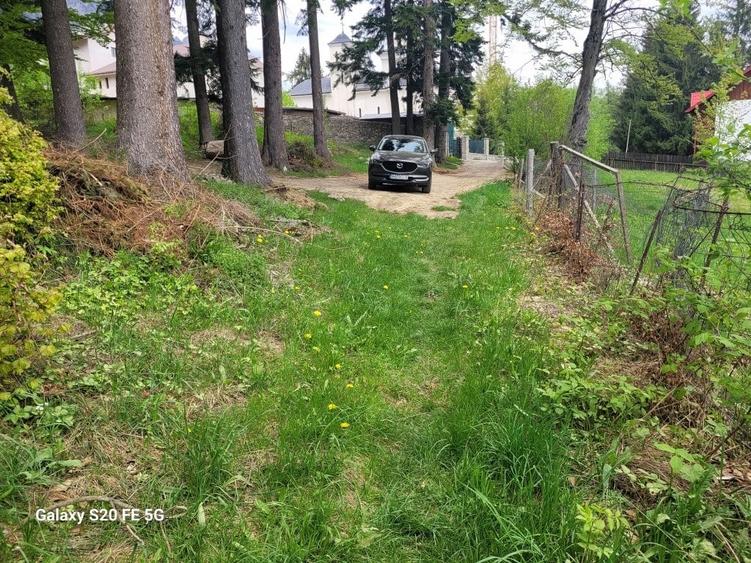 Teren intravilan de vanzare in Busteni - 4