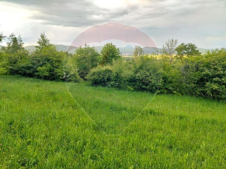 Teren Bran-Zarnesti - Tohanita, 4223mp - 12