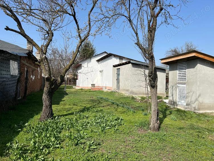 Vand Casa Crivina Jud Giurgiu - 6
