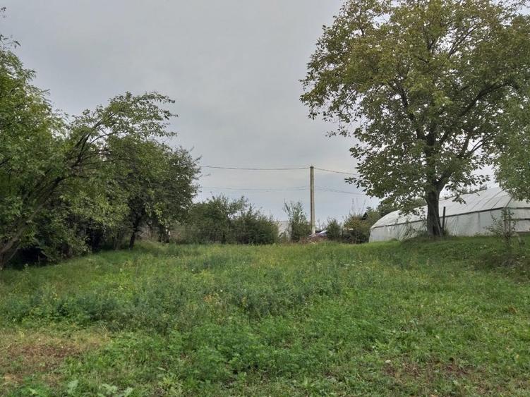 Teren de vanzare - Baicoi(Central) (intre case,gaze,curent,canalizare) - 1