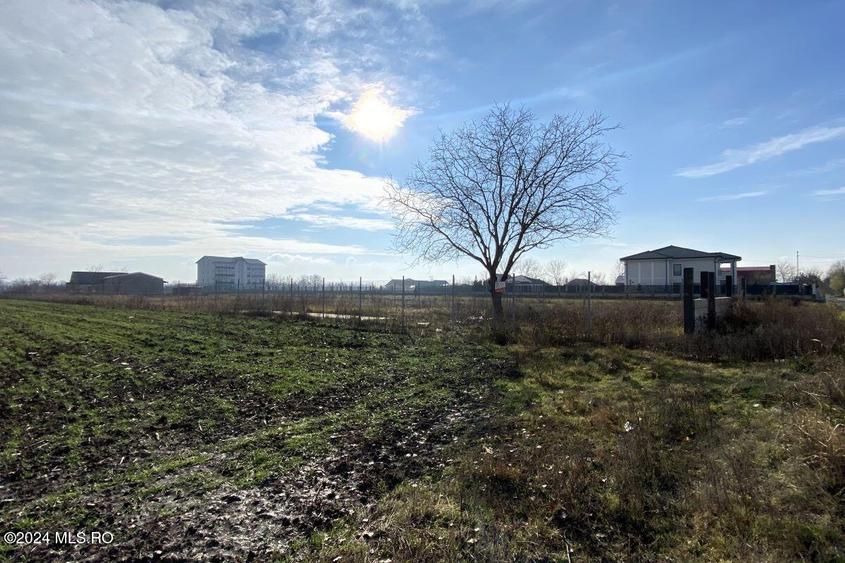 Afumati - Str. Iasomiei, 2409 MP, stradal, intravilan, deschidere 12 ml! - 12