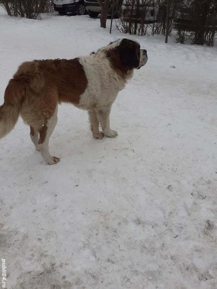 Schimb, vand casa Predeal cu casa pe Dunare (zona Braila Gala?i) Ofer casa cu etaj in Predeal - 5