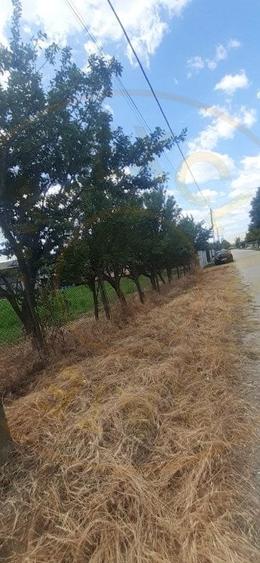 0% COMISION - TEREN GENEROS 5000 MP  GOLESTI - ARGES - 3