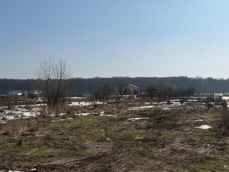 Domnești, teren langa pădure, 420mp, utilități,  deschidere 21ml, intravilan - 6