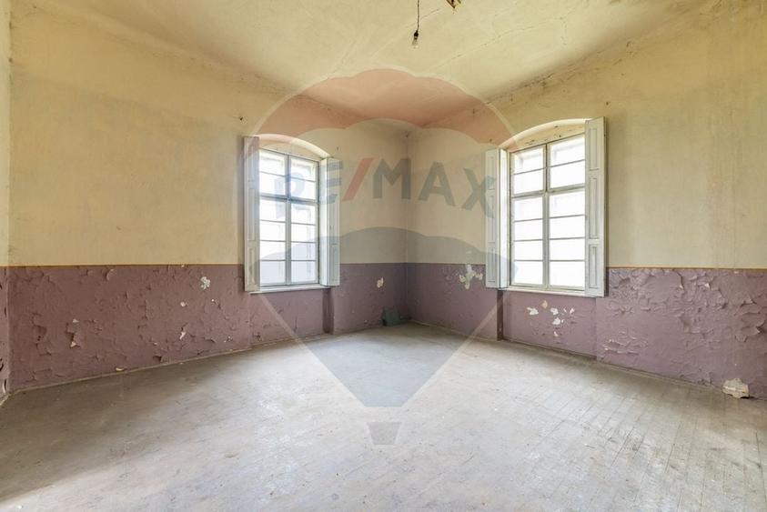 Conac aristocratic secolul XIX , domeniu  2,5 hectare -- Paulis, Arad - 15