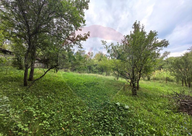 Casa traditionala De Vanzare cu 5 Hectare de teren - 28