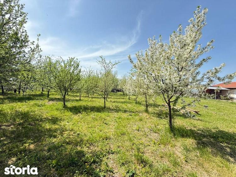 Teren intravilan 1190 mp | Dragsina (langa Albina) | Front 20 ml - 3