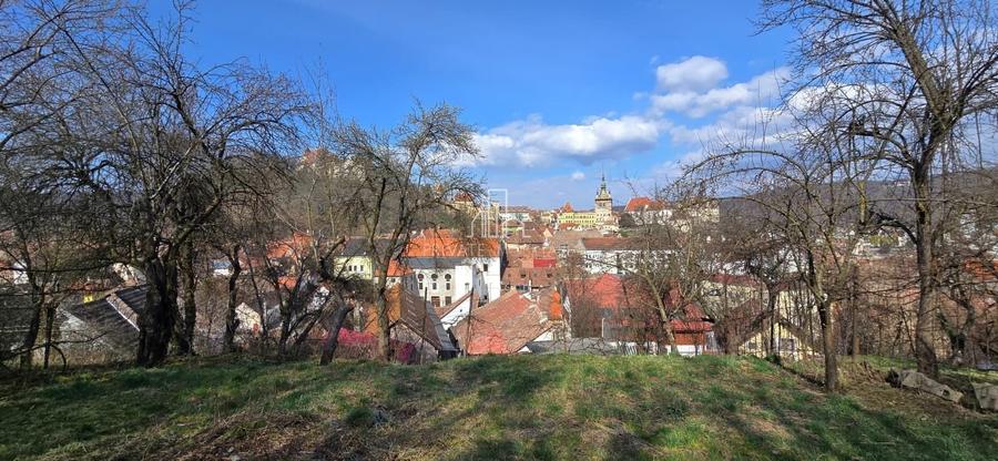 Casă/pensiune în exclusivitate, de vânzare, Sighisoara - 24
