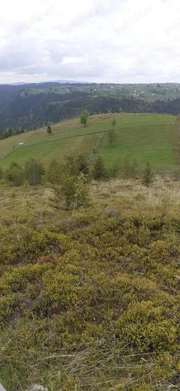 Teren de vanzare ideal pentru cabana in Maguri Racatau - 1