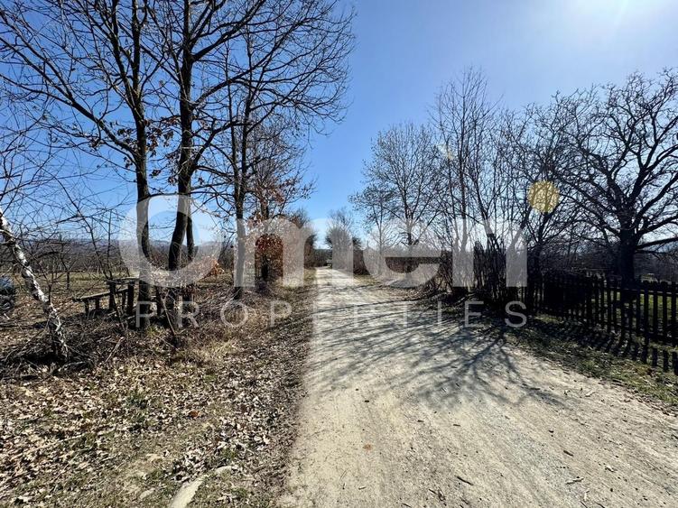 Teren agricol intravilan de 5800 mp, în Berința