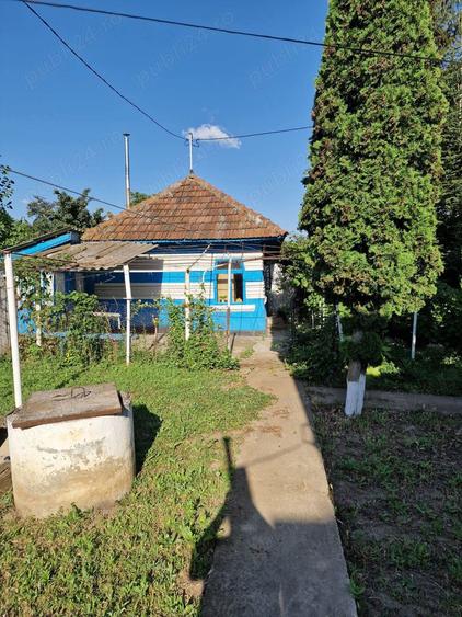 Casa batraneasca de vanzare plus magazin - 8