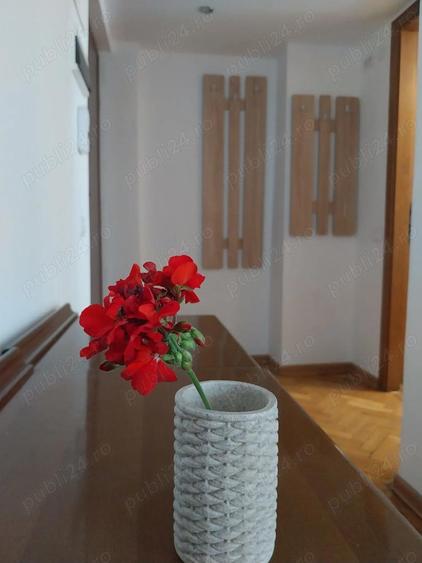 Inchiriez garsoniera ultracentrala - 4