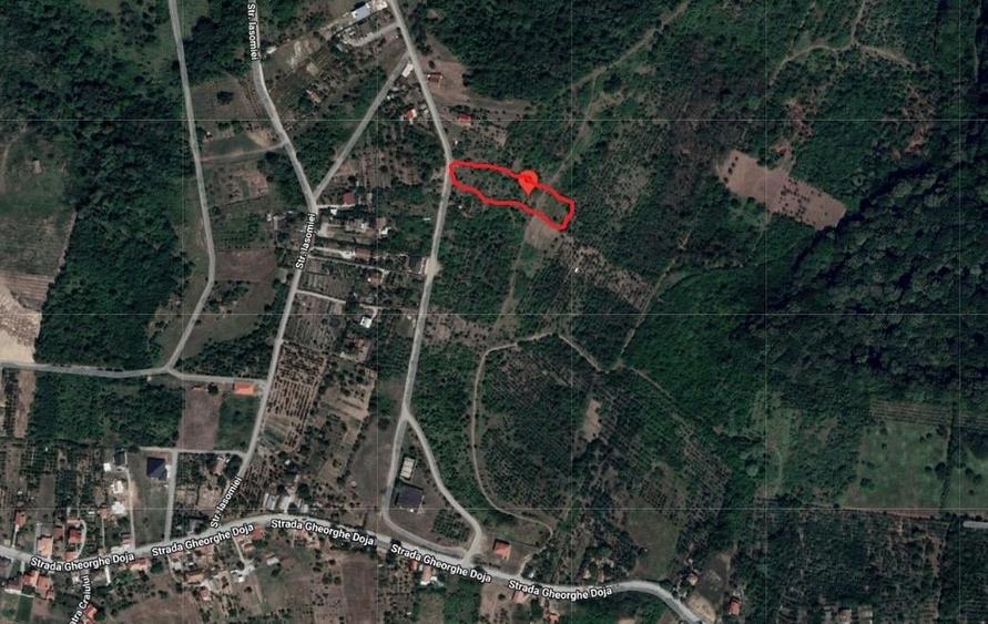 RECO Teren extravilan Paleu 800mp - 3