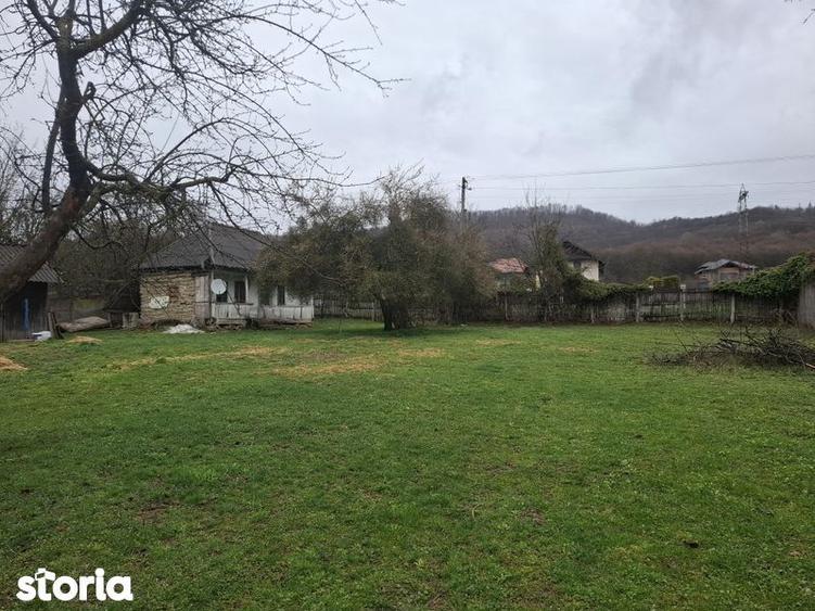 Teren de vanzare Gheboieni DB intravilan+extravilan - 1