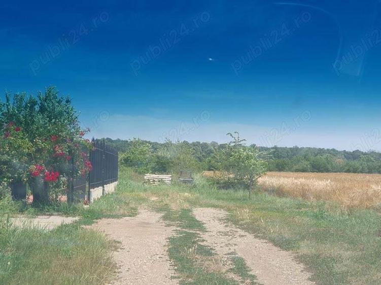 Teren situat in Balotesti,langa padure,acces drum pietruit, 28000 euro - 10