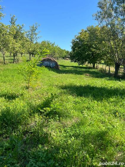 Vand casa batraneasca - 1