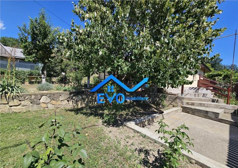 Casa de Uricani, Miroslava, Iasi - 0 Comision, 1000 mp Tere - 1