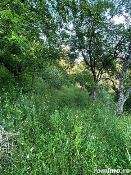 Teren zona turistica Rosia - 7