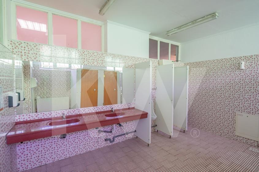 Hala industriala | productie | depozitare | cantina | 826mp | Sebes - 5