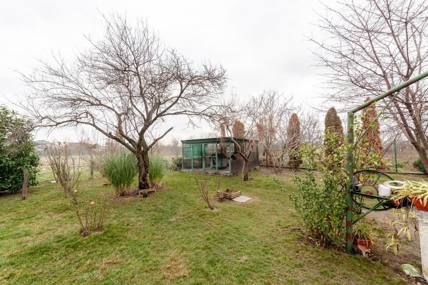 Cladire industriala / comerciala – 320 mp utili | Teren 3.200 mp - 18