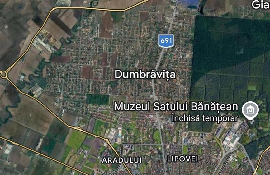 Vila, Dumbravita, Central - 1