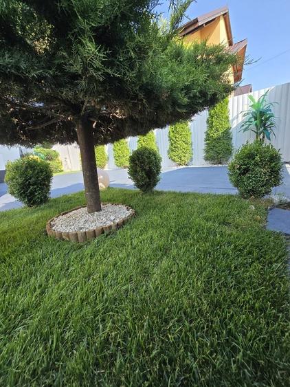 Vila mobilata si utilata la intrarea in Comuna Berceni - 7