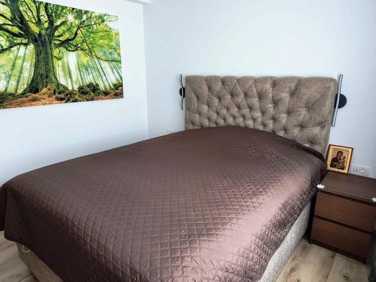 Casa individuala spatioasa, cu teren, Sura Mica - 9