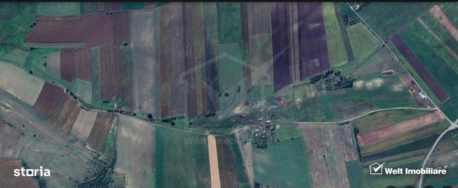 Teren nucifer cu plantatie de aluni, sat Frata, jud. Cluj - 6