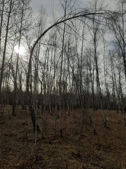 Vanzare teren intravilan - 3