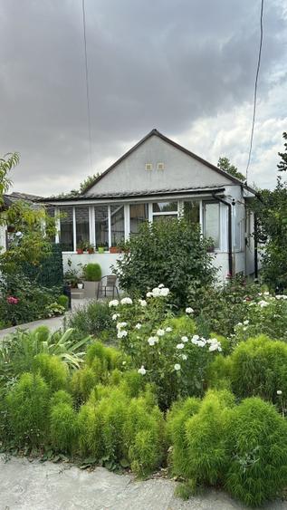 Casa cu suflet in centrul Medgidiei– gradina superba - 13