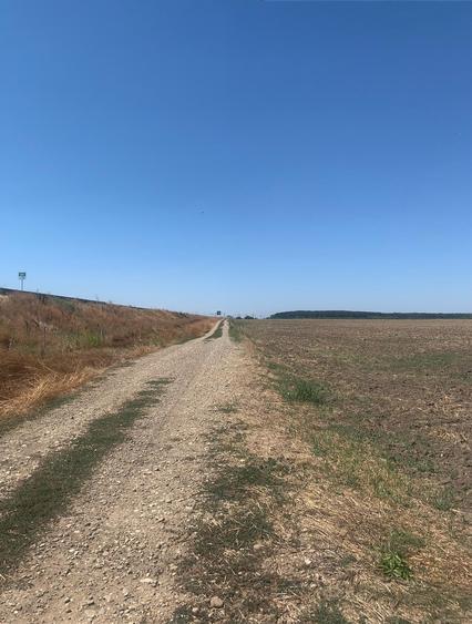 Stefanesti de Jos DJ200 Vanzare  Suprafata  Teren  Intravilan  5,5 Hectare - 3