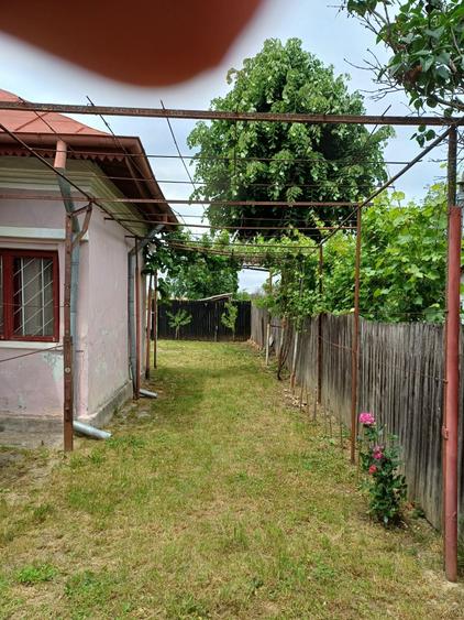 Vand casa la curte teren 2850 mp - 3