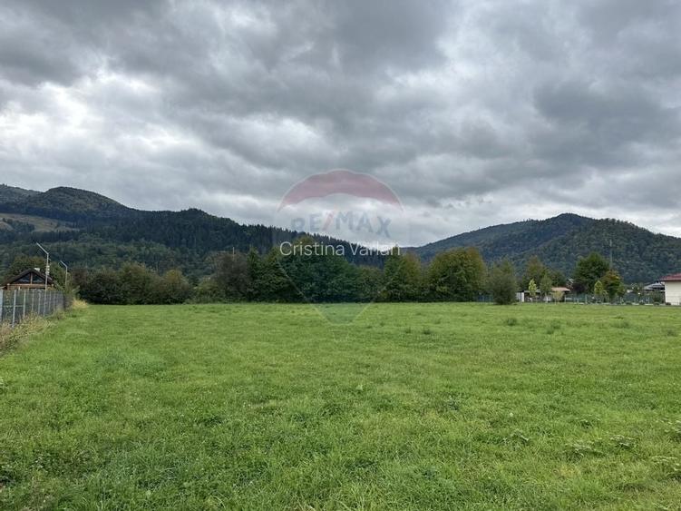 Teren 1,023mp Vadurele (Alexandru cel Bun) / Strada Stejarilor