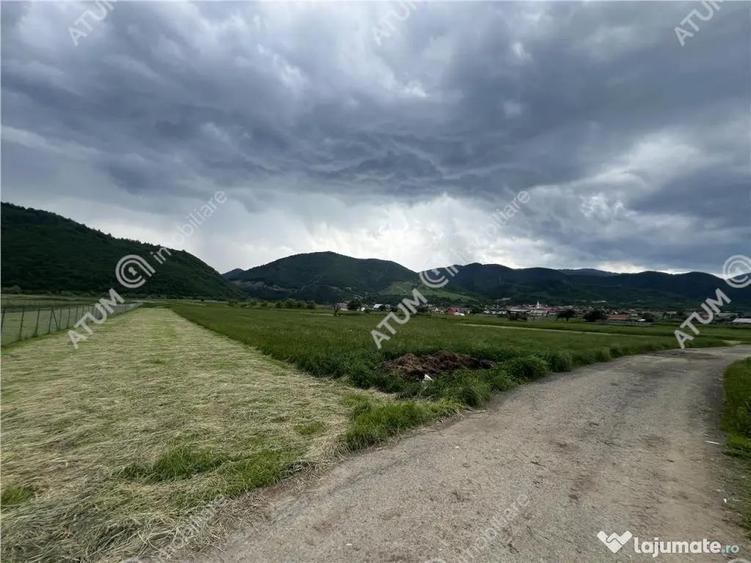 Teren intravilan de 3477 mp cu deschidere de 35 m in Boita - 7