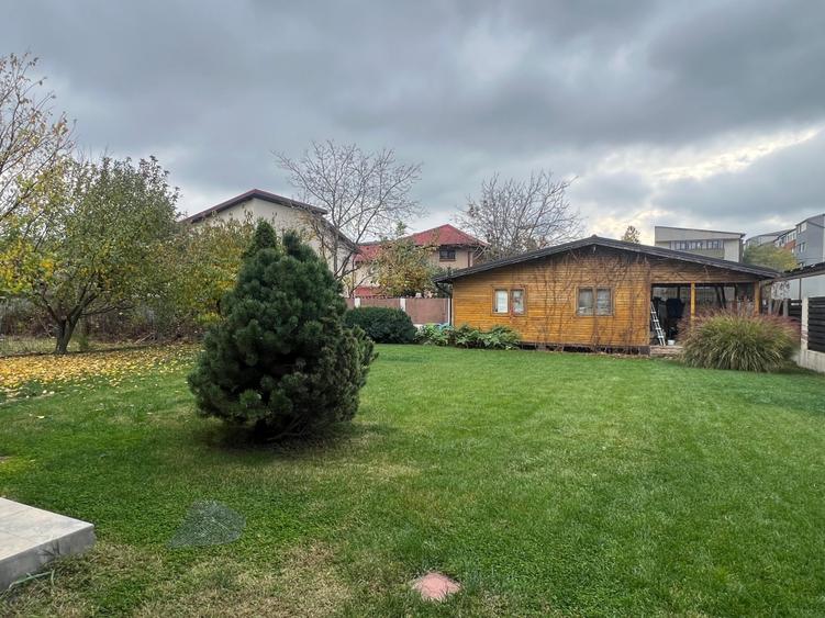 Dimitrie Leonida Metrou - 41