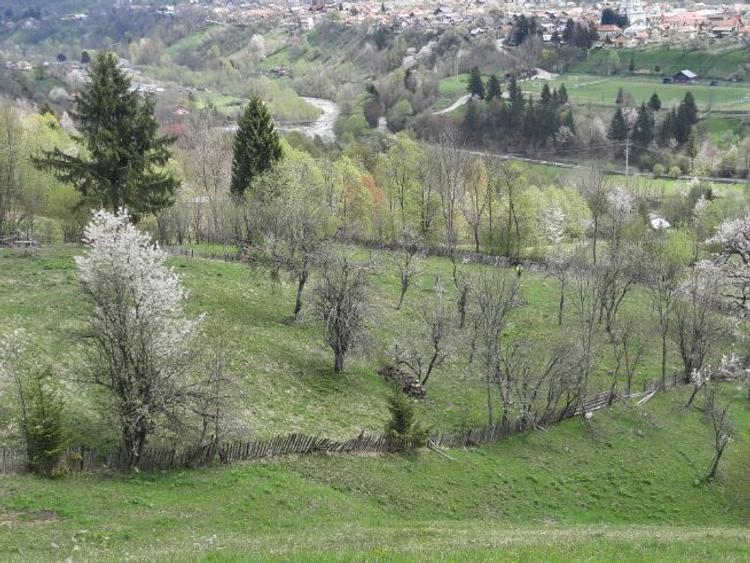 Teren intravil, VD, Prislop, Construcții, Investitie, Prop, Acte ok - 6