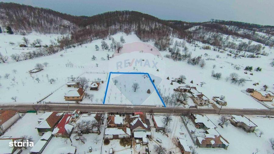 Teren intravilan, de vanzare in Damis- Bratca pe Strada Principala 274 - 2